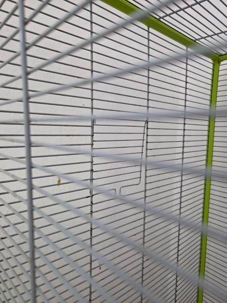 Klietka small animals kamil,