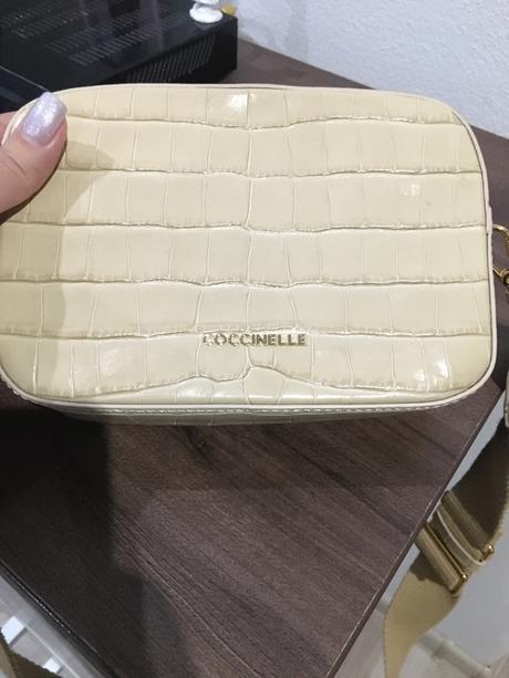 Coccinelle, coccinelle