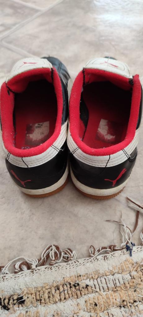 Halovky puma, puma,33