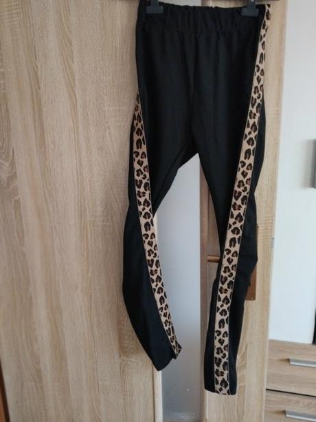 Leginy s leo pasom, amisu,s