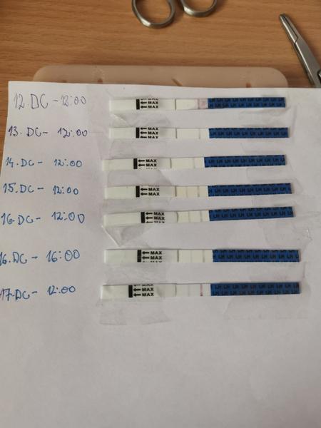 Je niektorý z týchto ovulačných testov pozitívny?