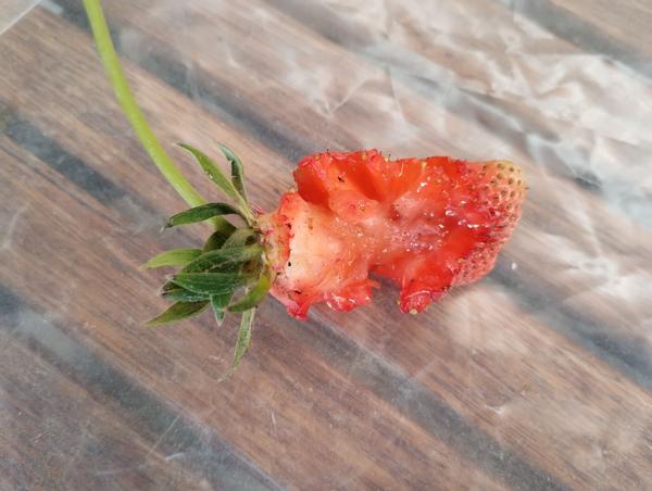 Niečo mi obžiera jahody