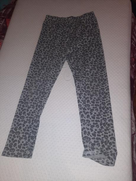 Leginy, young dimension,122