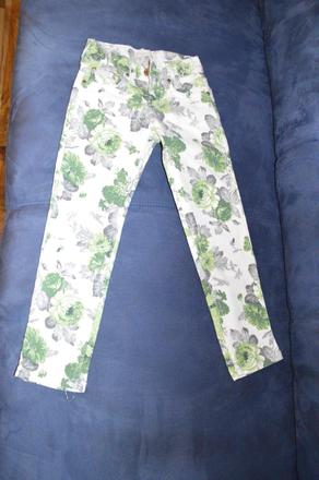 Nohavice s kvetmi nenosené, 104