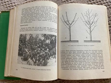Stará kniha radíme záhradkárom čejka gustáv 1979,