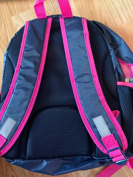 Anatomicka taska ladove kralovstvo, 