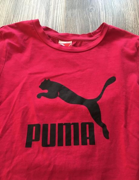 Puma, puma,m