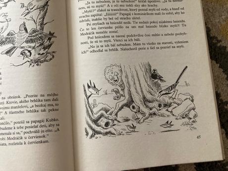 Utečenec na vtáčom strome (1982), 