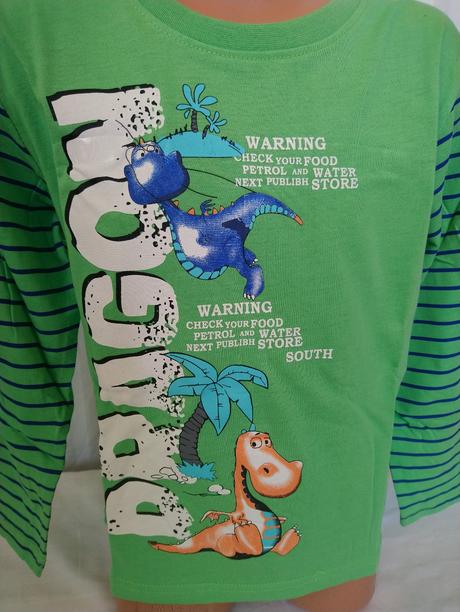 Chlapč. zelené pyžamo dr dragon, n-feel, 98-104, 104