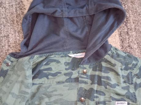 Krásna košeľa, coccodrillo,140