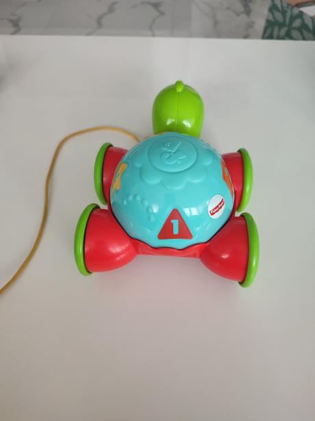 Ťahacia korytnačka, 