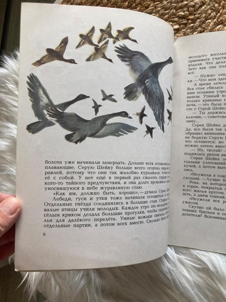 Sovietska detská kniha серая шейка (1978),