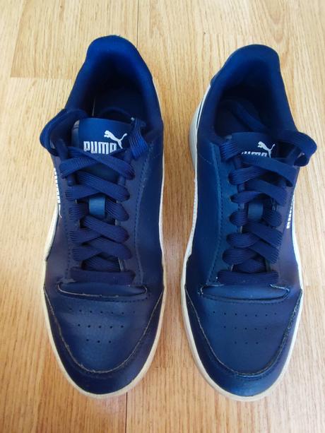 Botasky puma, puma,37