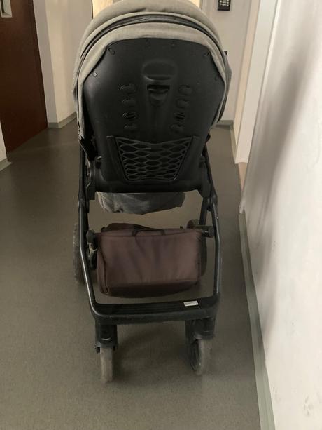 Kočík roan bloom, roan,roan bloom