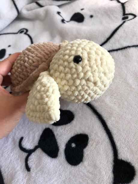 Hackovana korytnacka, 