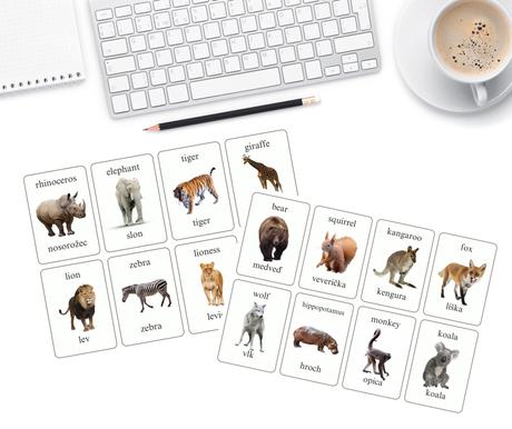 Veľká montessori sada s realistickými obrázkami,