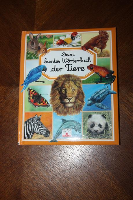 Dein buntes wörterbuch 5 ks, 