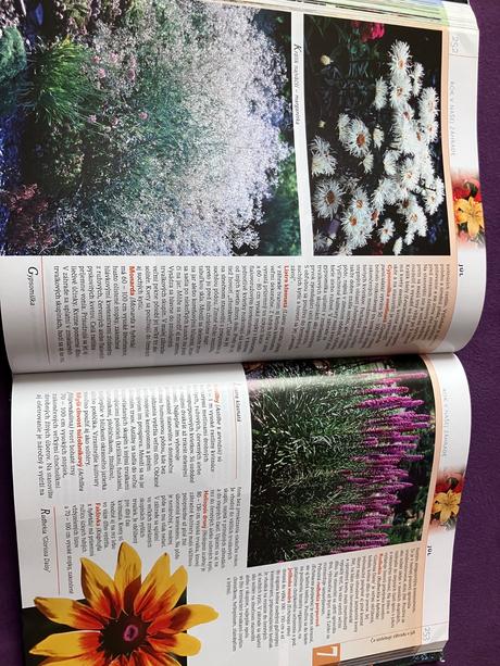 Rok v našej záhrade, 