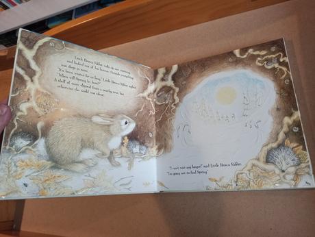 Rabbit's winter walk,