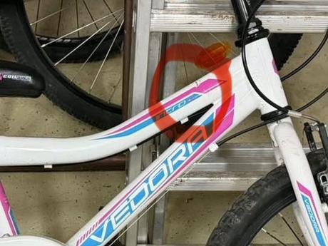 Detsky bicykel vedora, 20