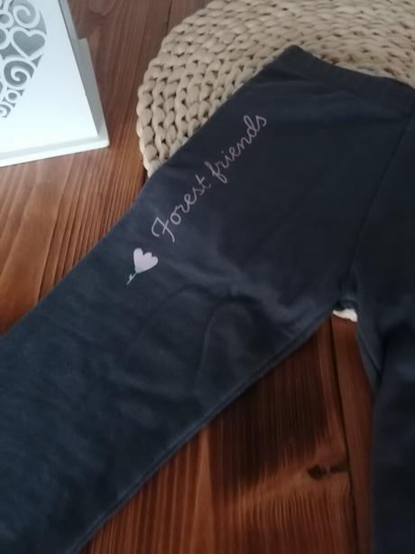 Leginy sede 116, 116