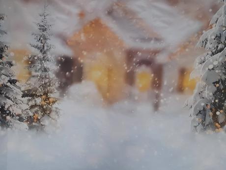 Pozadie na vianocne fotenie, 