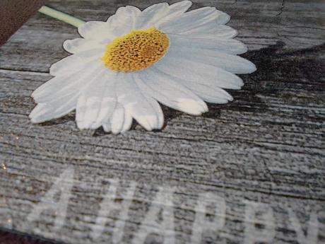 Obrázok sedmokráska, 