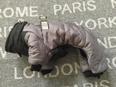 Bunda s postrojom pre maleho psa s,