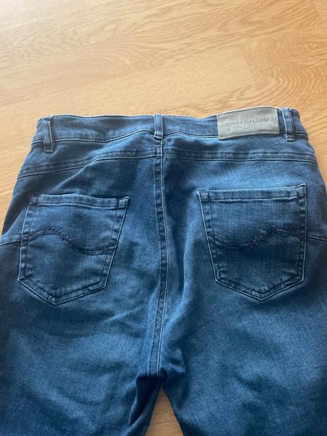 Rifle diana gallesi, 40