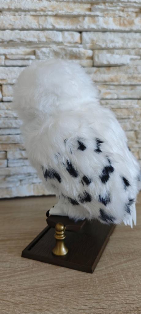 Interaktívna sova hedwiga, 