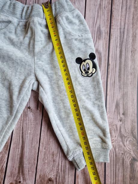 Teplakova suprava, disney,74