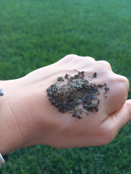 Maska zo suseneho zeleneho caju, 