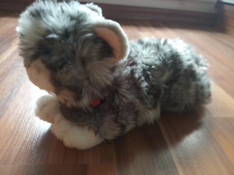 Mačička jemná mäkká,