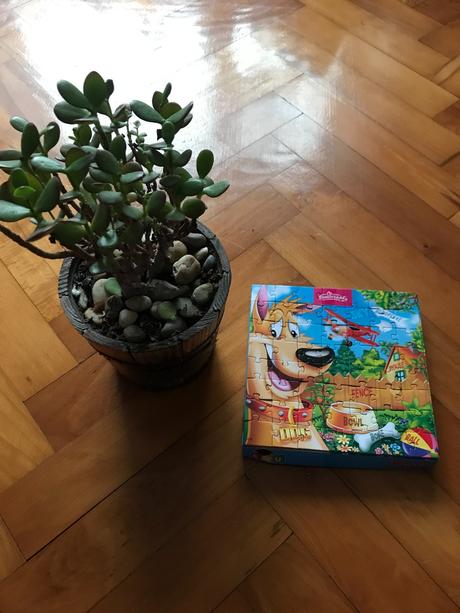 Puzzle - pes / dog - náučné , anglické, 