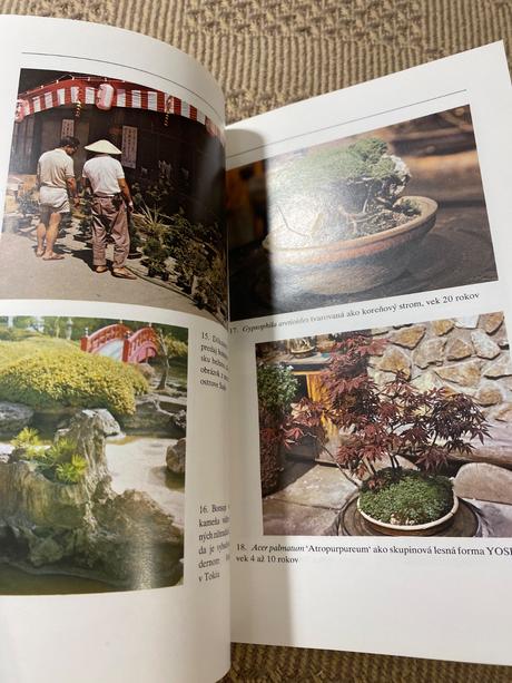Miloslav ryšán  bonsaj, 