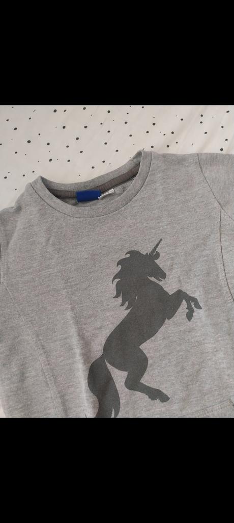 Mikinove šaty, lupilu,110