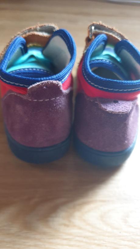 Krasne farebne rak, rak,22