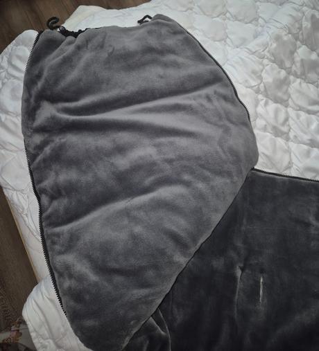 Fusak sensilo, sensillo