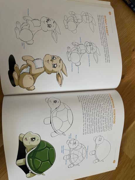 Manga for beginners, 