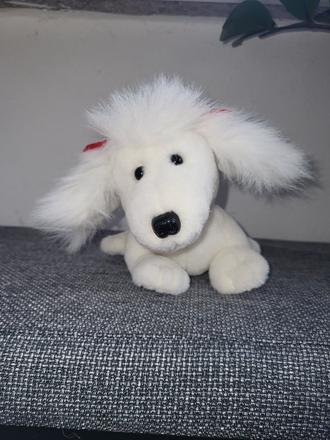 Psik steka a hybe usami,