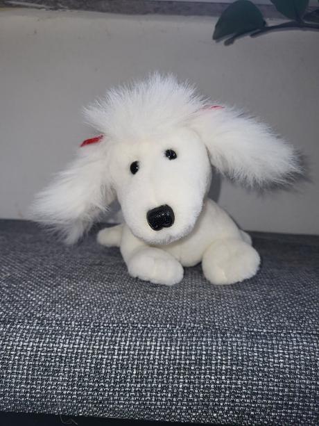 Psik steka a hybe usami,