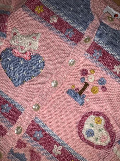 Veselý svetrik, ladybird,104