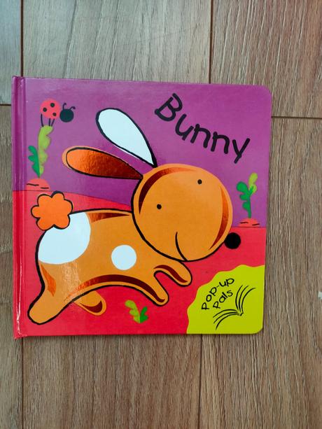 Kniha v angličtine, 