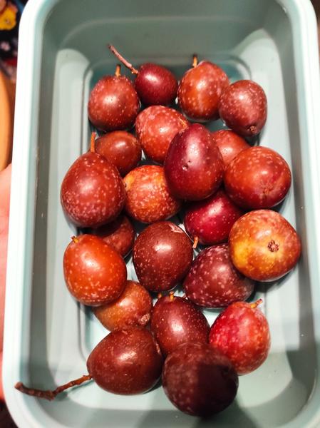 Má niekto taký ovocný strom?