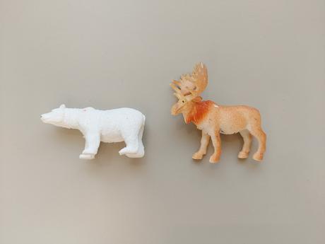 Safari - život v arktíde, 