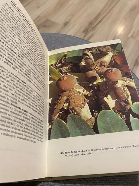 Huby lesov, polí a lúk aurel dermek atlas húb,