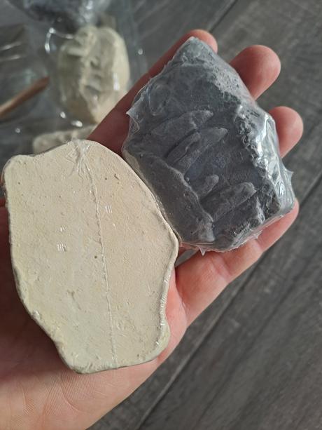 Pre prieskumnikov dinosaurov, 