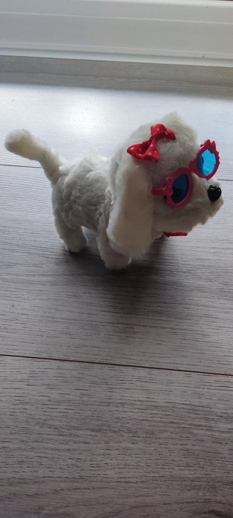 Biely psík, chodí, šteká, 