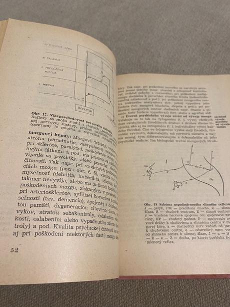 Psychológia pre gymnáziá a pedagogické školy,