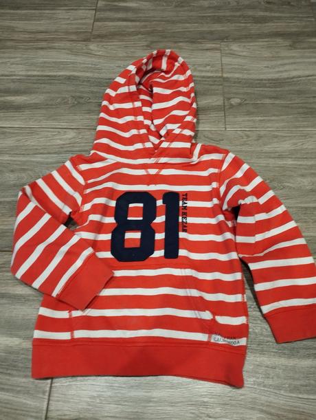 Mikina, l.o.g.g.,110